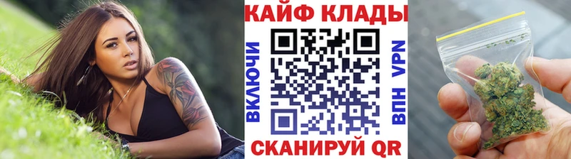 Продажа наркотиков Новокузнецк Бошки Шишки  Псилоцибиновые грибы  Гашиш 