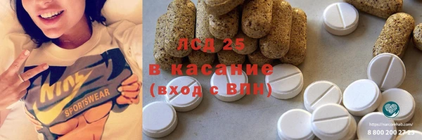 прущие грибы Александровское