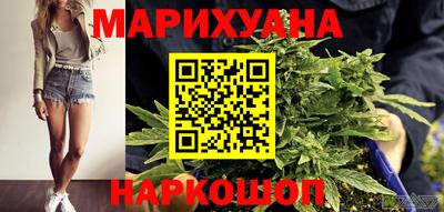 сатива Новокубанск