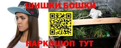 крисы Новозыбков