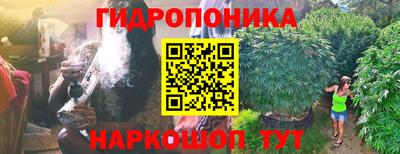 крисы Новозыбков